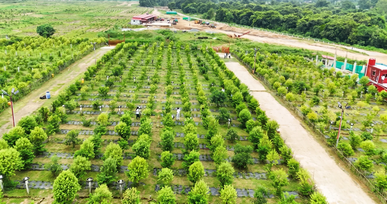 Survey 67 & 68 layout thumbnail — real site photo